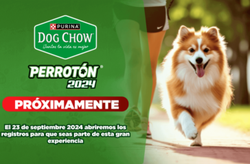 Perroton-Dog-Chow®-1