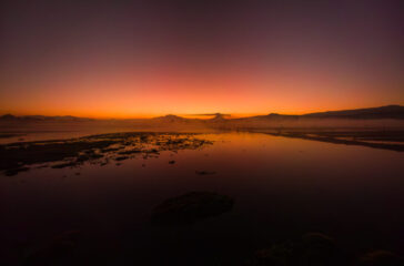 IMG_20241214_064145