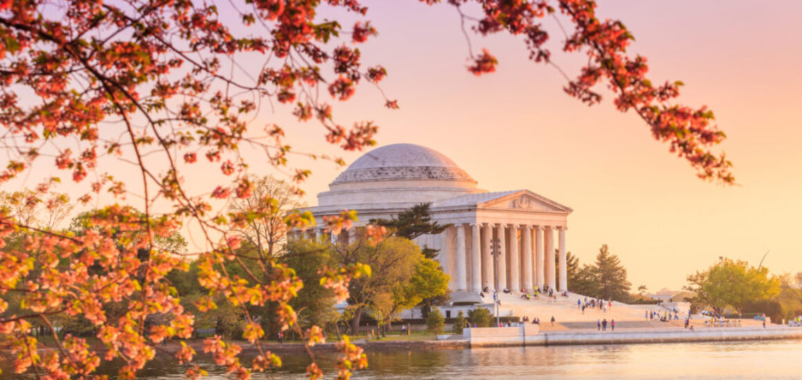 the Jefferson Memorial during the Cherry Blossom Festival in DC