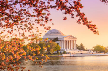 the Jefferson Memorial during the Cherry Blossom Festival in DC