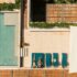 DJI_0631