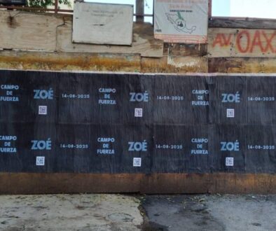 zoe1-1