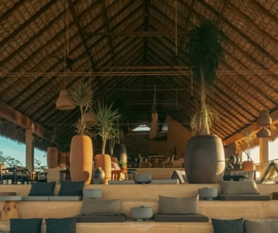 Diseño sin título - 10