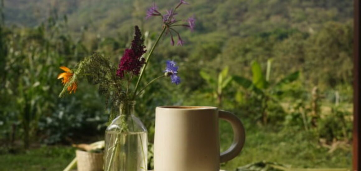 Cafecito